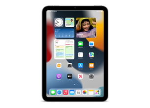 iPad mini (6th generation) Wi-Fi IPSW firmware download