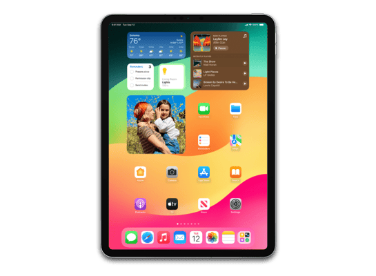 iPad Pro 11-inch (1st generation) Wi-Fi (1TB) IPSW firmware download